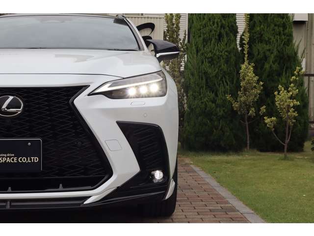 Lexus NX 10