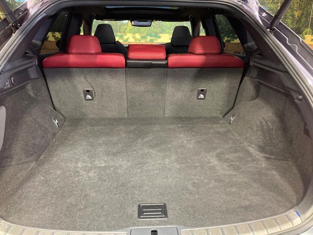 Lexus RX 11