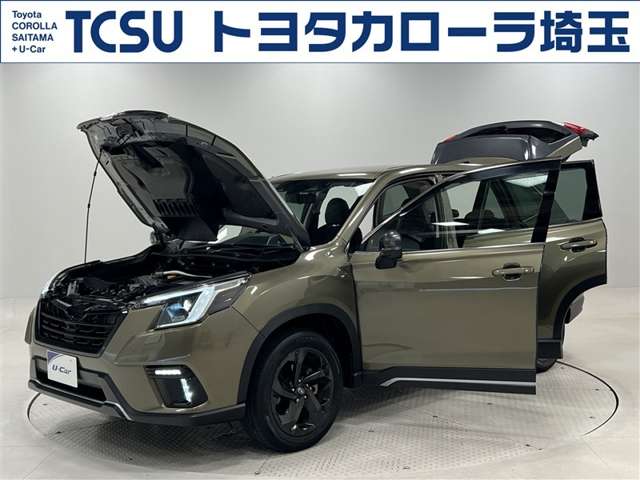 Subaru Forester 10
