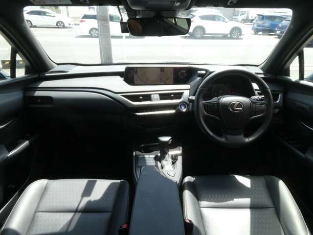 Lexus UX 11