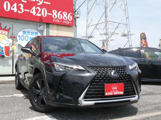 Lexus UX 12