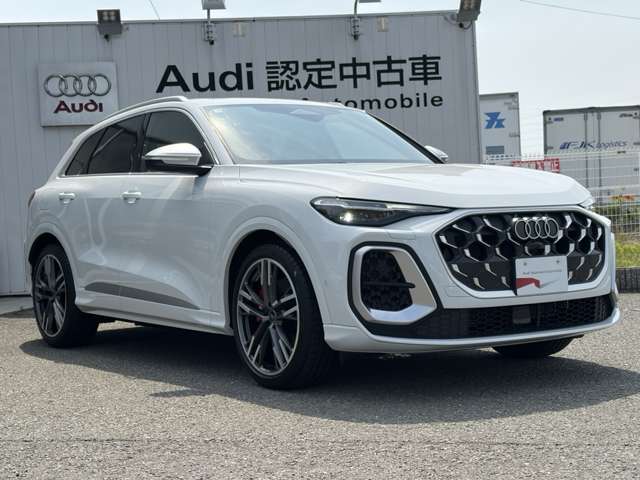Audi SQ5 7