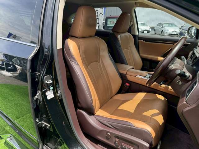 Lexus RX 11