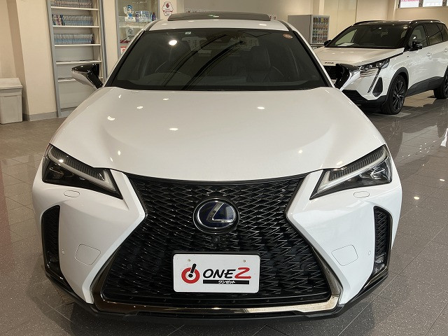 Lexus UX 12
