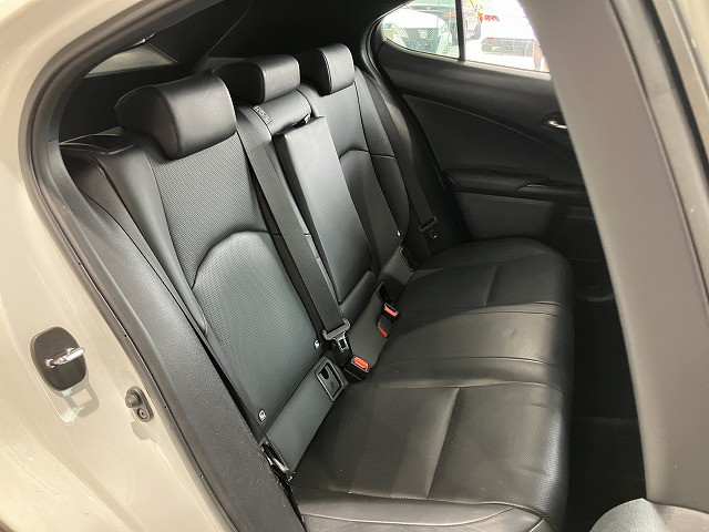 Lexus UX 9
