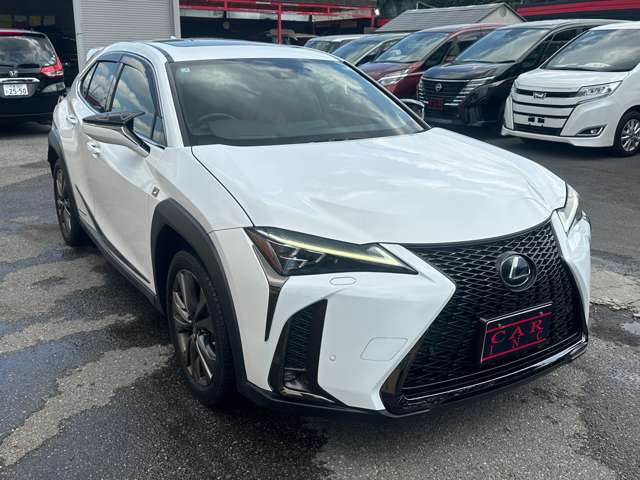 Lexus UX 11