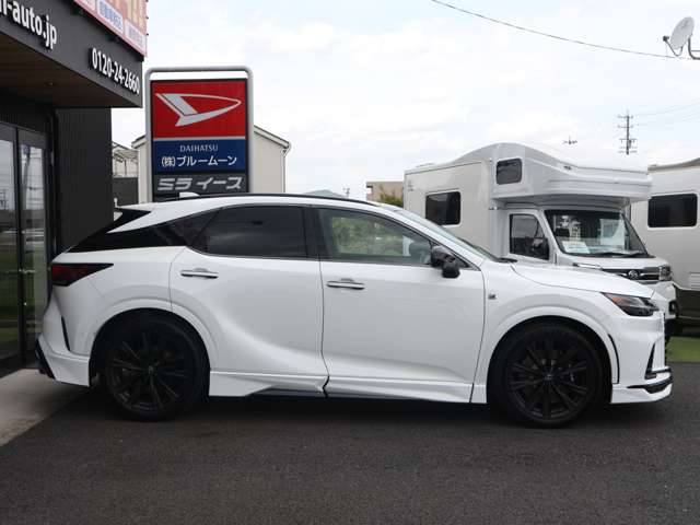 Lexus RX 11