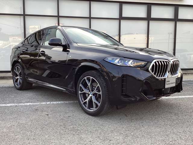 BMW X6 9
