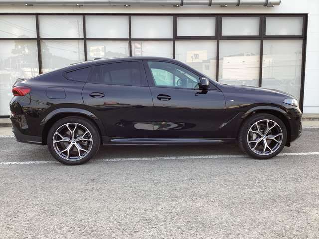 BMW X6 10