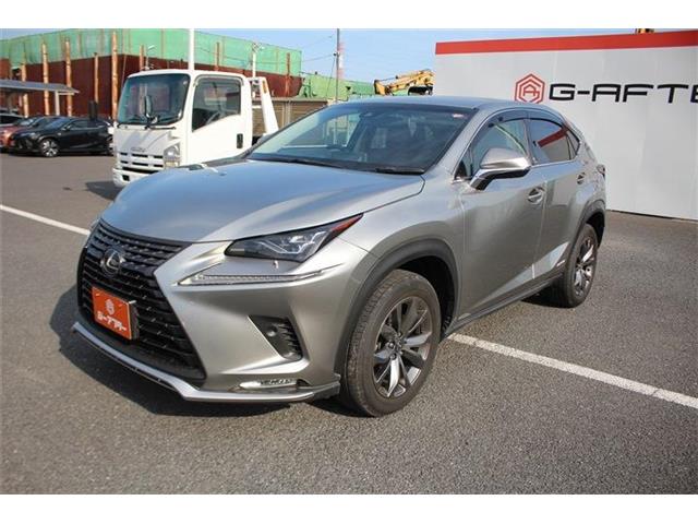 Lexus NX 11