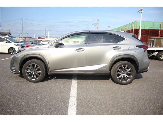 Lexus NX 12