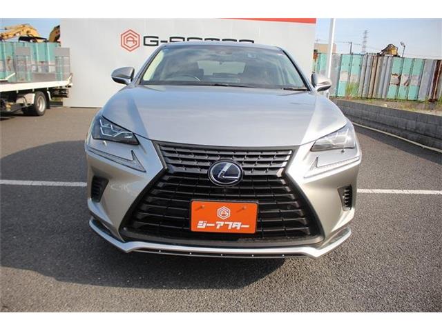 Lexus NX 10