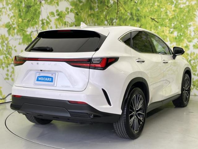 Lexus NX 6