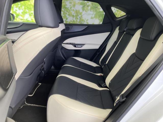 Lexus NX 9