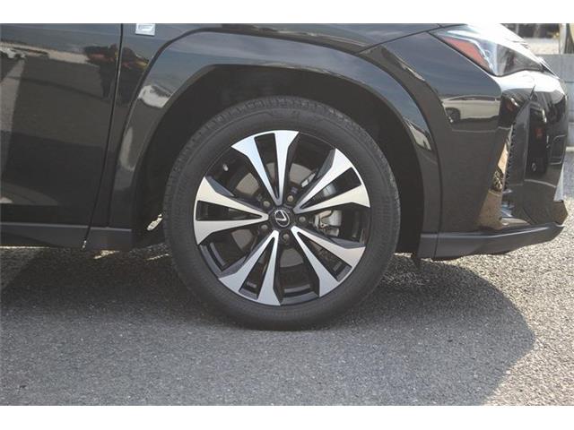 Lexus UX 12