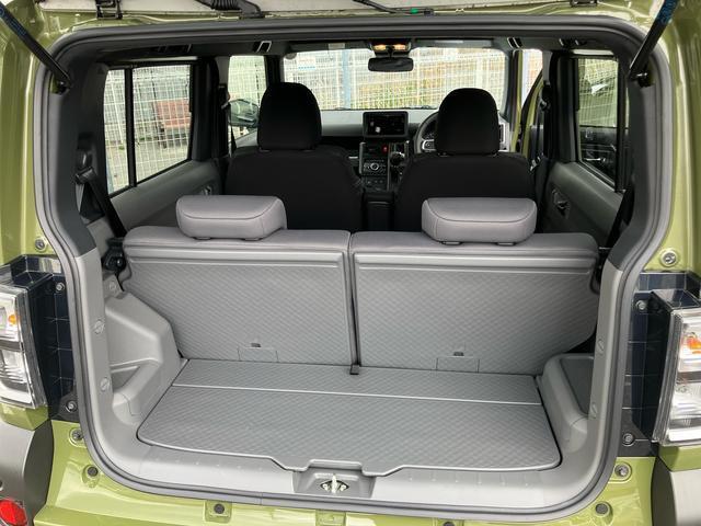 Daihatsu Taft 11