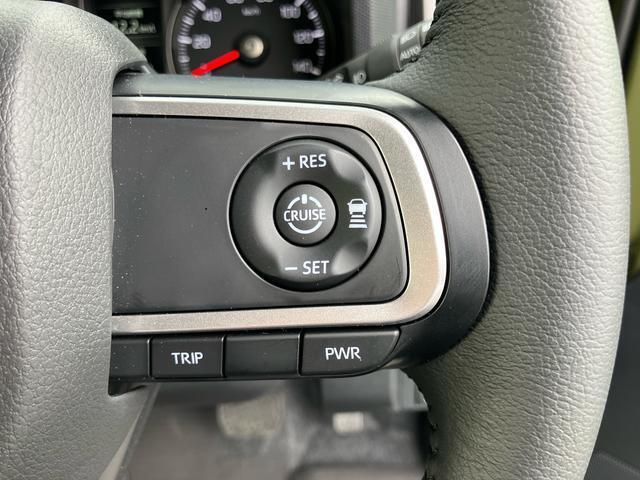 Daihatsu Taft 6