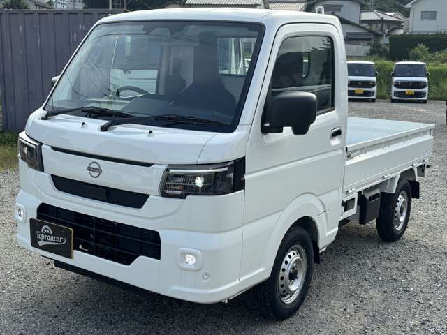 Nissan Clipper Truck 6