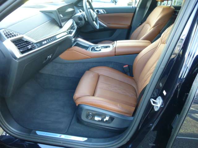 BMW X6 10