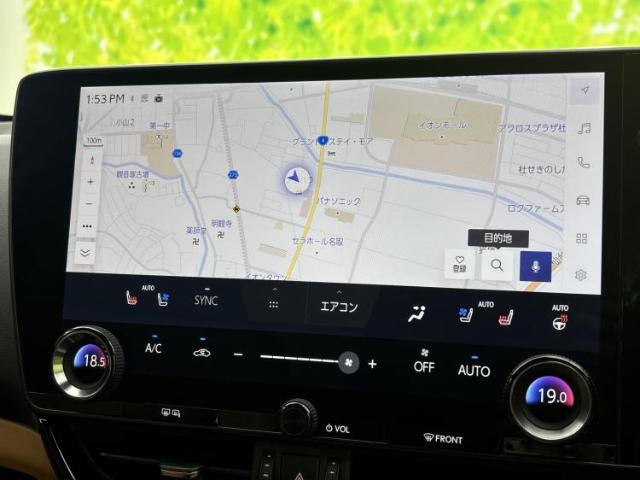 Lexus NX 11