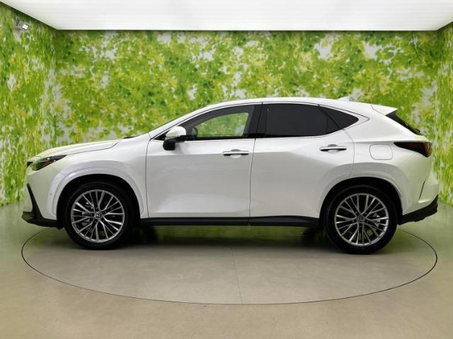 Lexus NX 5