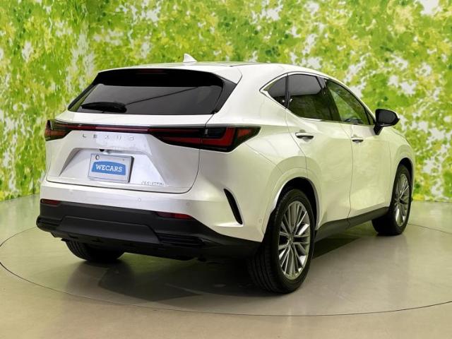 Lexus NX 6