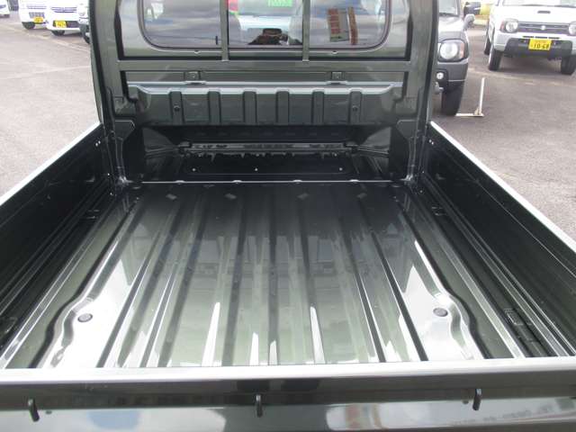 Suzuki Carry 11