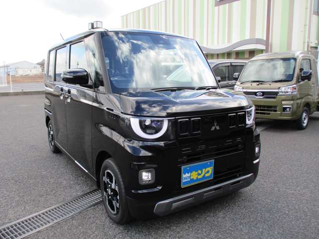 Mitsubishi Delica Mini 5