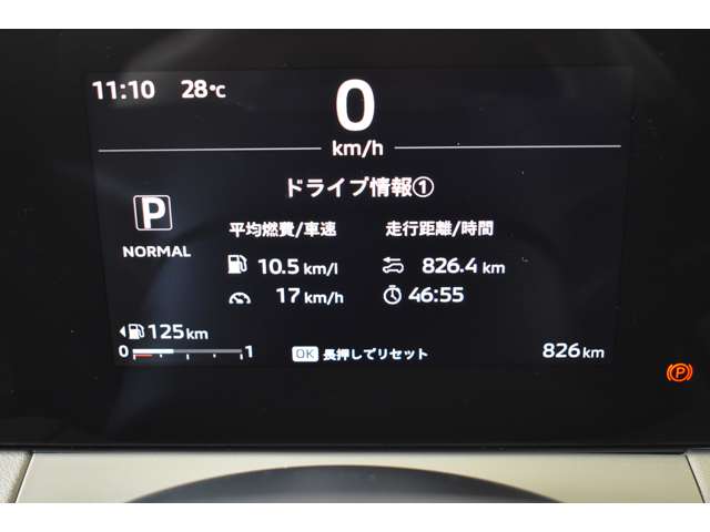 Mitsubishi Delica Mini 11