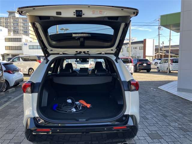 Toyota RAV4 10