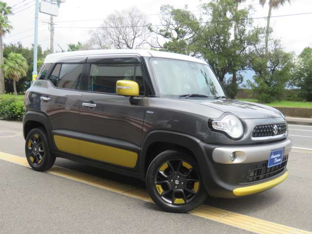 Suzuki XBEE 10