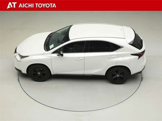 Lexus NX 11
