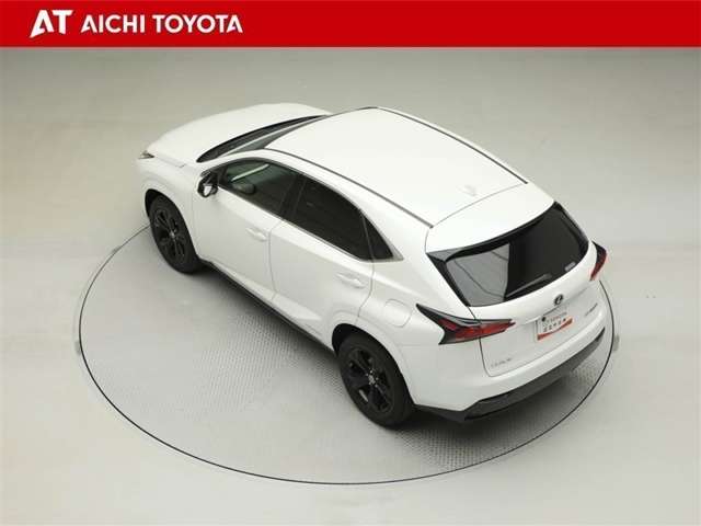 Lexus NX 12