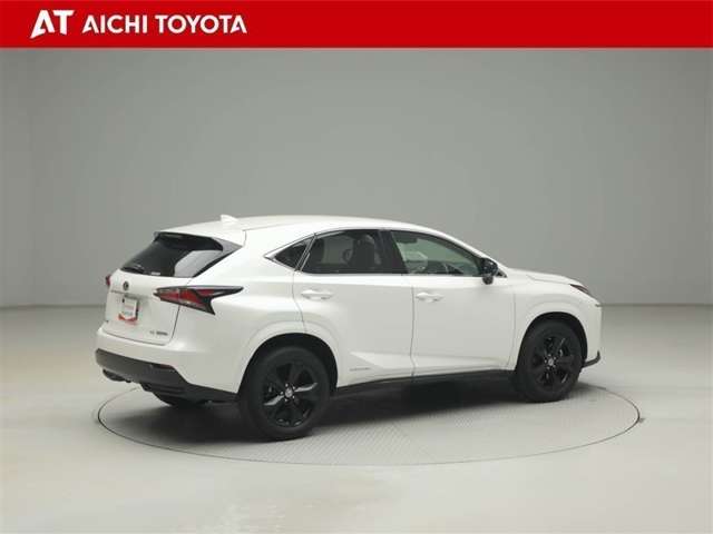 Lexus NX 6