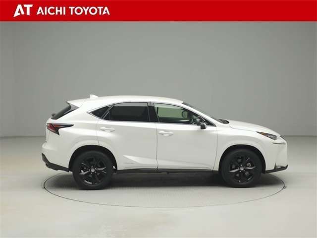 Lexus NX 7
