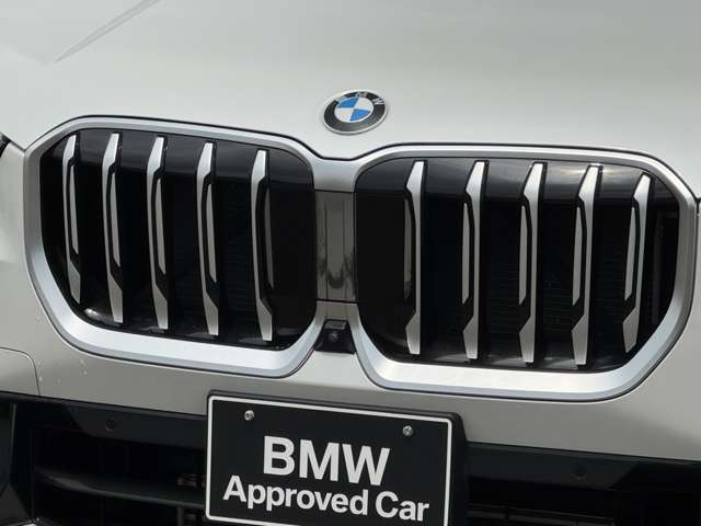 BMW X1 9