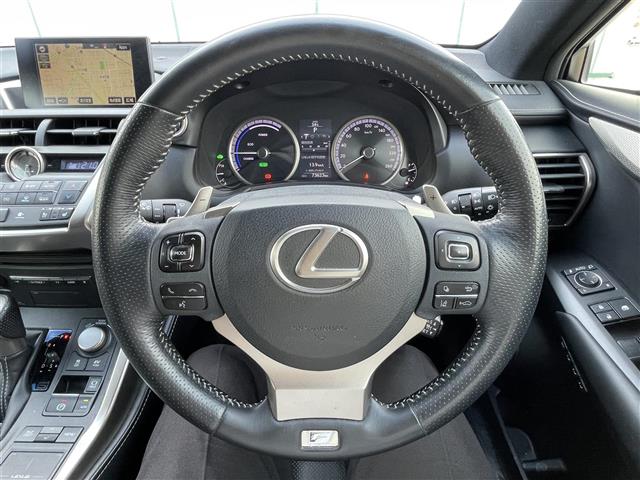 Lexus NX 10