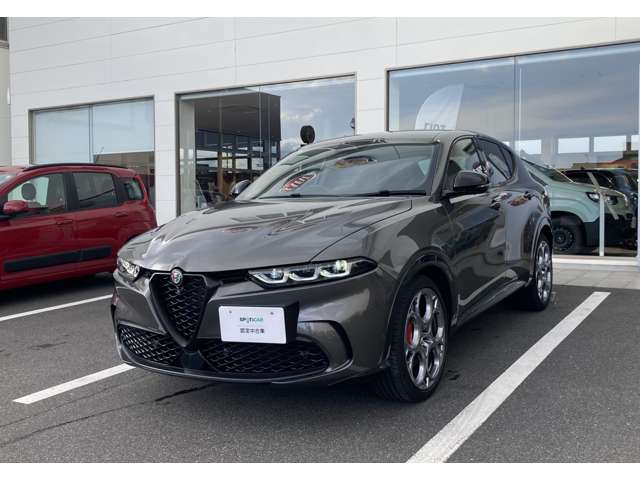 Alfa Romeo トナーレ 11