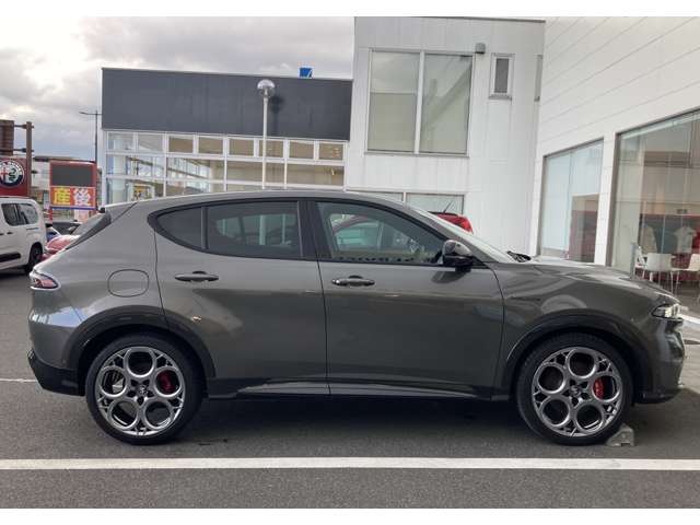 Alfa Romeo トナーレ 6