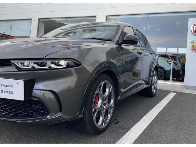 Alfa Romeo トナーレ 9