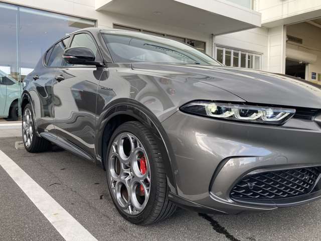 Alfa Romeo トナーレ 10