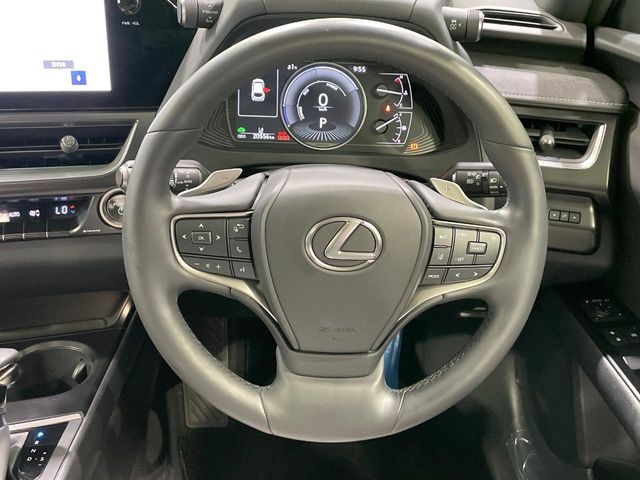 Lexus UX 12