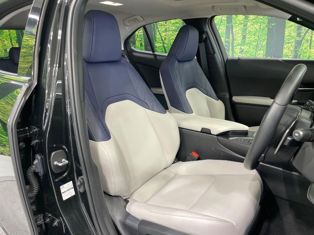 Lexus UX 9
