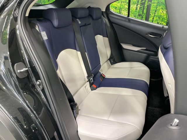 Lexus UX 10