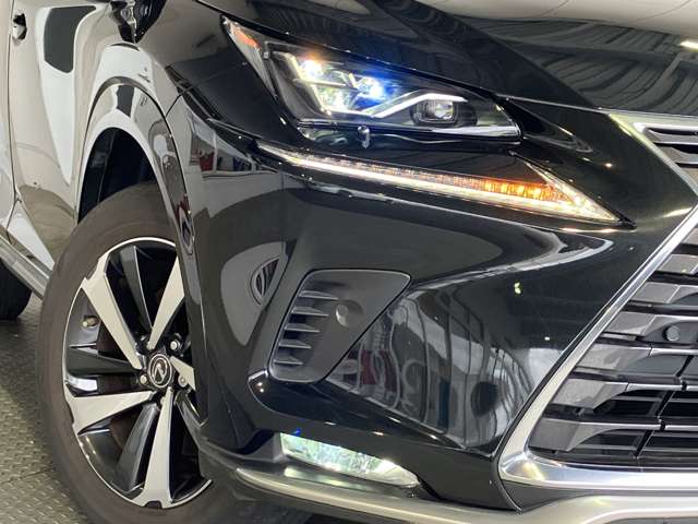 Lexus NX 4