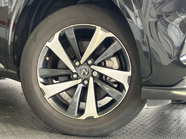 Lexus NX 5