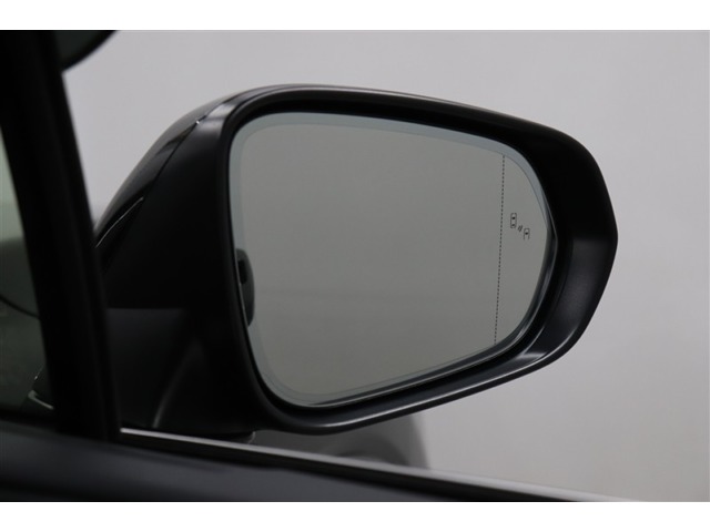 Lexus RX 11
