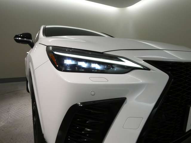 Lexus NX 7