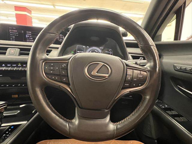Lexus UX 11