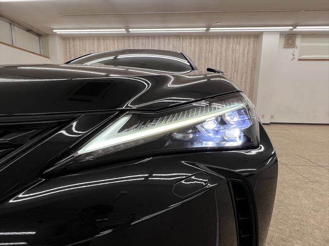 Lexus UX 12